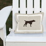 English Pointer